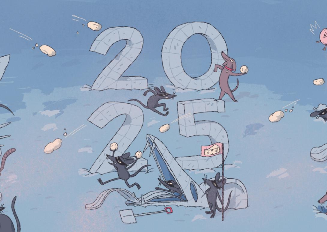 Bild_Animadvent_2025