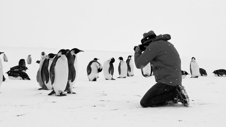 Filmstill_Rückkehr zum Land der Pinguine_1