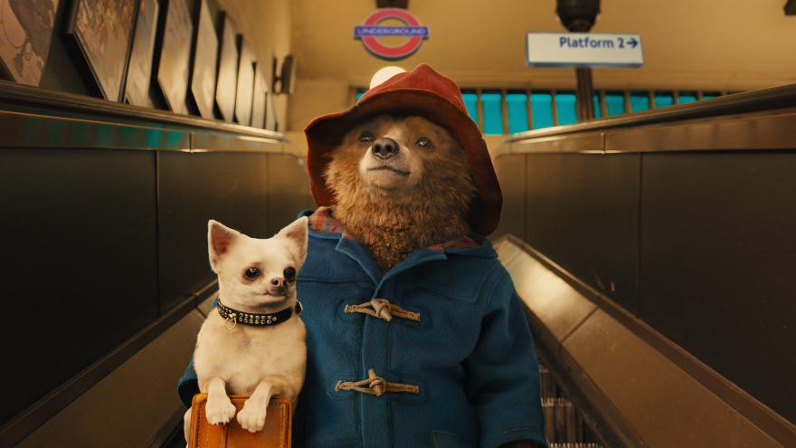 Filmstill_Paddington_1