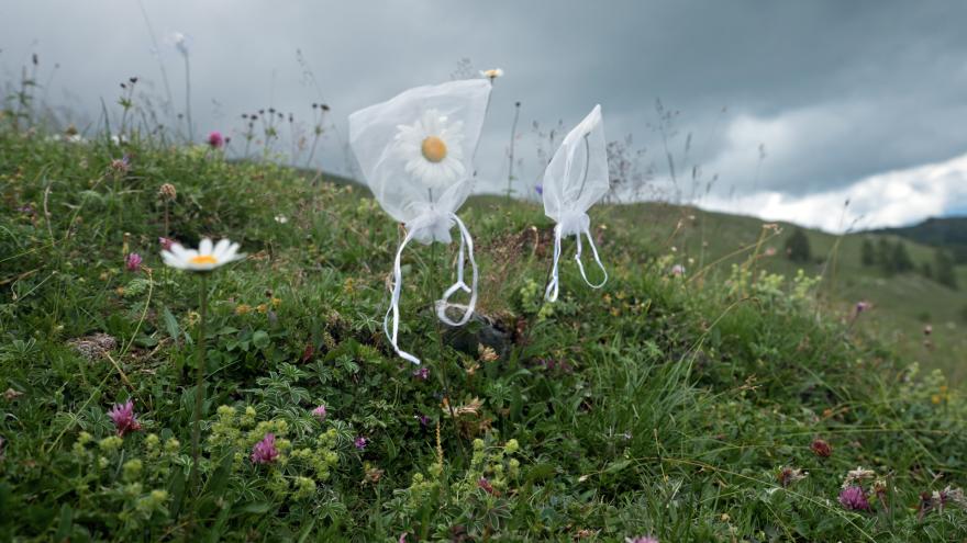 Filmstill_Unter Pflanzen_1